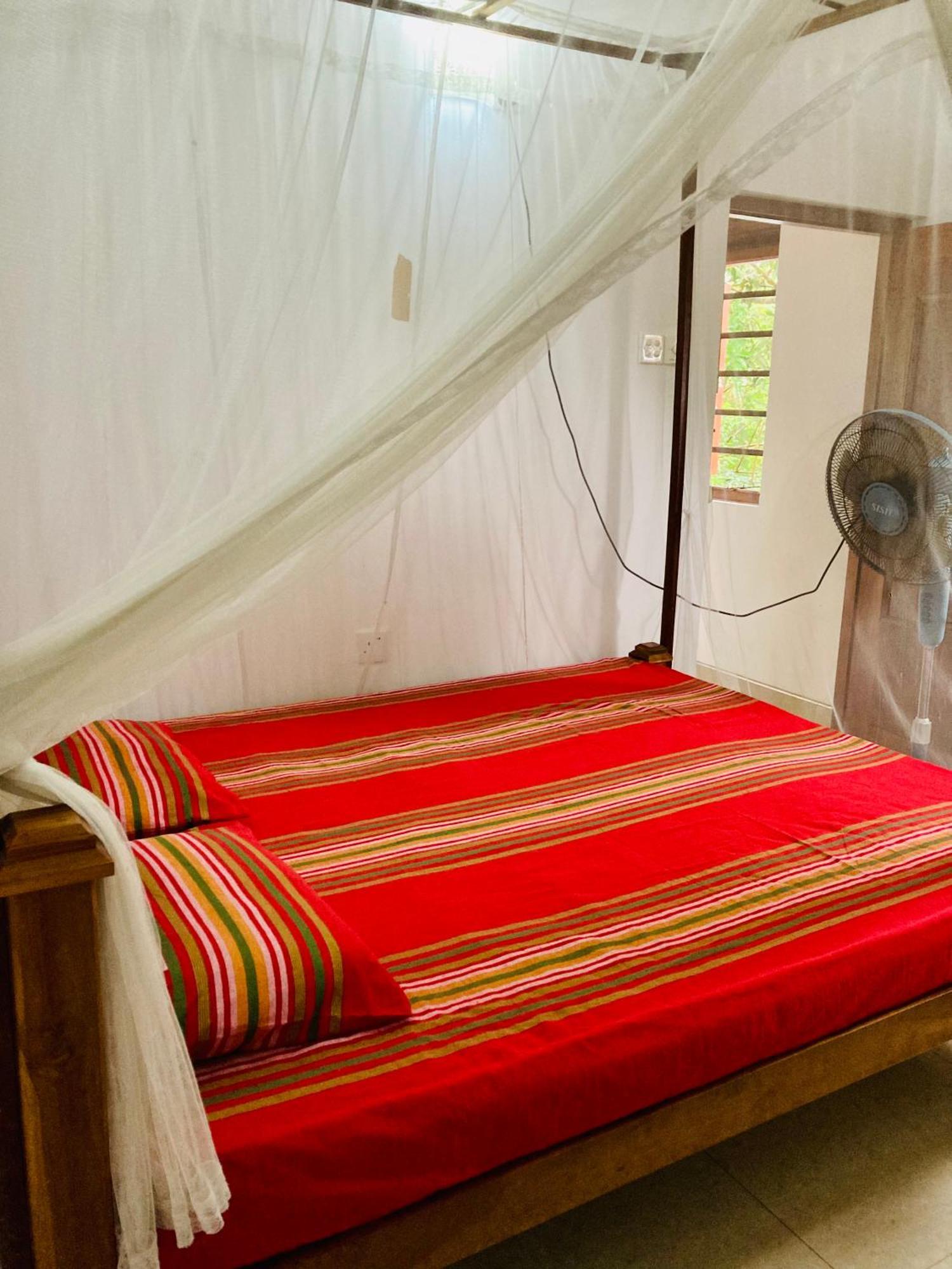 Ameena Homestay แทนกาลเล ภายนอก รูปภาพ