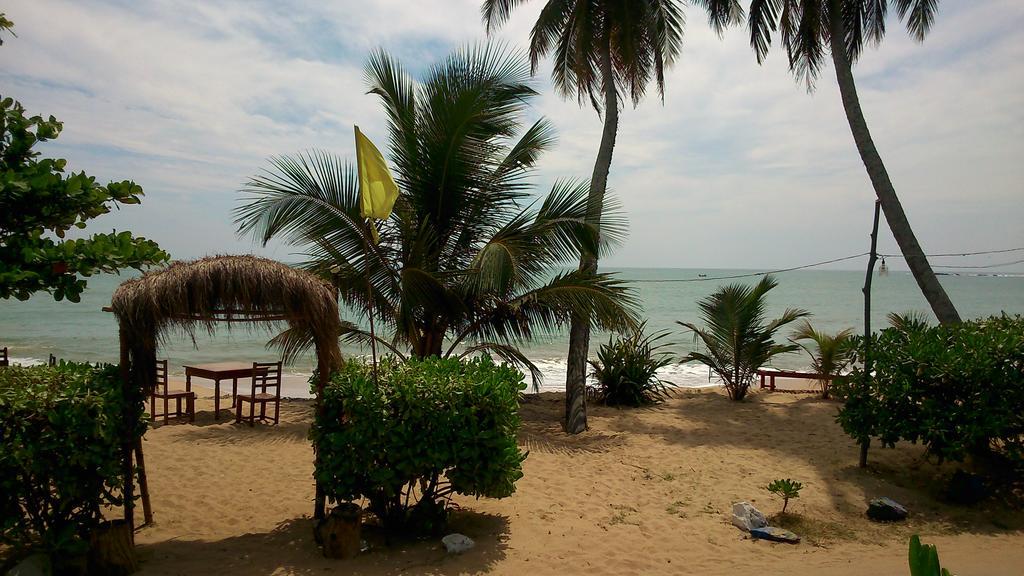 Ameena Homestay แทนกาลเล ภายนอก รูปภาพ