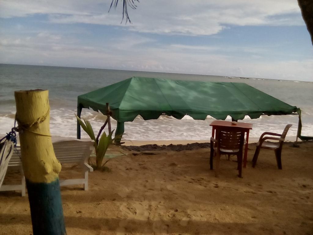 Ameena Homestay แทนกาลเล ภายนอก รูปภาพ